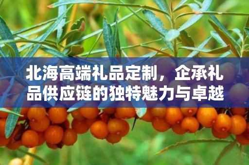 北海高端礼品定制，企承礼品供应链的独特魅力与卓越服务